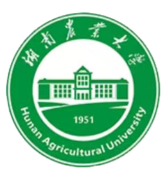 产品1